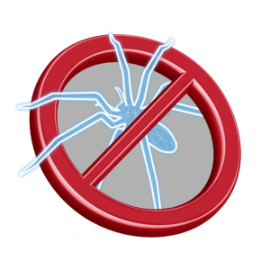 Hur_blir_man_av_med_spindlar